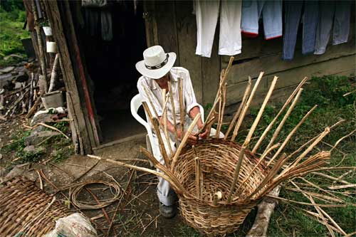 Basket Maker